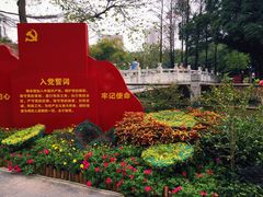 -晓港公园
