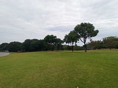 -上海滨江森林公园