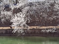 -颐和园