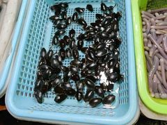 -南沙十九涌渔人码头-南门