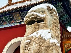 -北陵公园