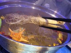 -千岛蚝高压锅生蚝·人参火锅(白云万达店)