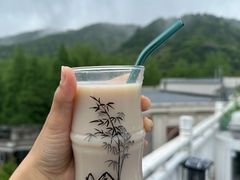 -龙坞茶村