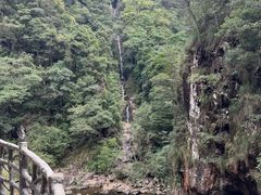-广东花都湖国家湿地公园