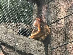 -南昌动物园