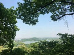 -上海佘山国家森林公园西佘山园