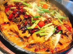 -老板恋上鱼(恒隆广场店)