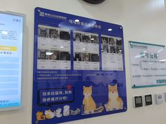 -美联众合动物医院·24h转诊中心