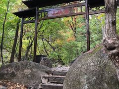 -三块石国家森林公园