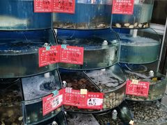 水产区-海之味海鲜大咖·家常菜