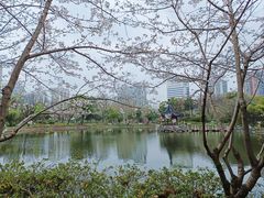 -和平公园