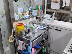 -A猫a狗全科·犬猫异宠·芥西宠物医院(南开总院)