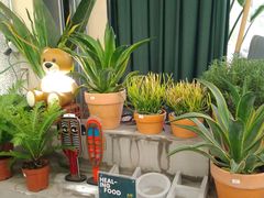 -PlantsEatery·植物食堂(REX春熙店)
