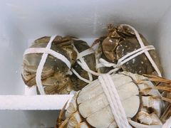 -七的湖·晚芳亭·阳澄湖农家菜·大闸蟹(莲花岛店)