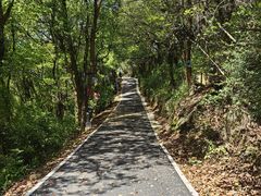 -平湖九龙山旅游度假区