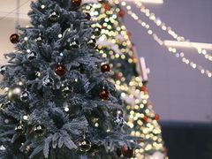 -东莞松山湖万象汇