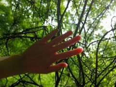 -雁荡山三折瀑景区