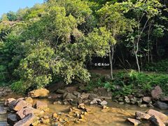 -广州白江湖森林公园