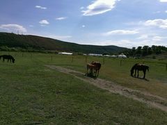 -塞罕坝国家级自然保护区