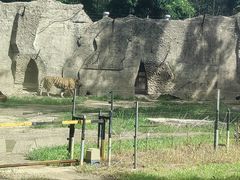 -秦皇岛野生动物园