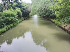 -同里国家湿地公园