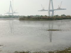 -芒洲湿地公园