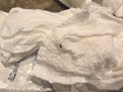 -哈尔滨中央大街华特酒店