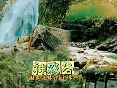 -炎陵县神农谷国家森林公园