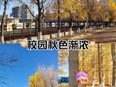 -辽宁大学(崇山校区)