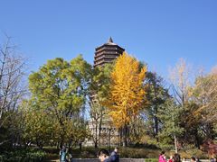 -玲珑塔公园