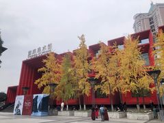 -重庆国泰艺术中心