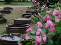 -杭州植物园