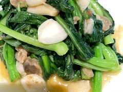 油渣炒菜心-老广酒楼(樱花店)