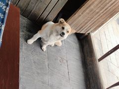 -逢源酒楼(东大街店)