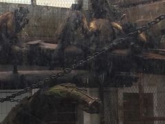 -昆明动物园