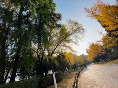 -长白岛森林公园