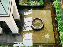 -旺顺阁鱼头泡饼(小红门店)