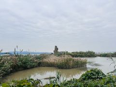 -漩门湾国家湿地公园