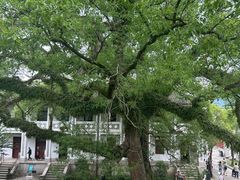 -溪口-滕头旅游景区