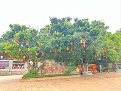 -湄洲岛