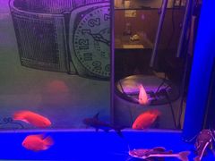 -一淼牛蛙爱上鱼(黄兴广场步行街店)