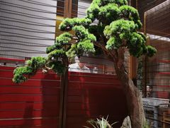 -牛村来人潮汕牛肉火锅(西单店)