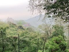 -莫干山风景区