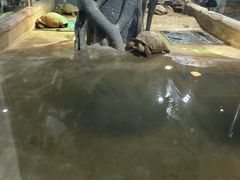 -太原动物园