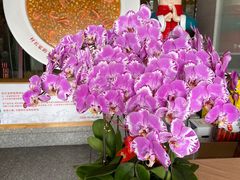 -村长家的疙瘩汤·东营菜(东营茶城店)