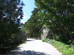 -阳台山自然风景区