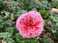 -人民公园(罗湖区)