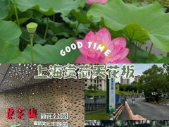 -陈家山荷花公园