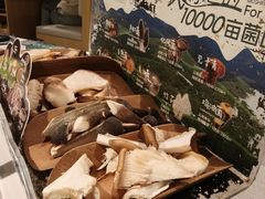 -芸山季·云南山珍菌火锅(南翔印象城MEGA店)