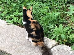 -四门塔风景区